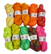 Load image into Gallery viewer, 10 PACK - Hand Dyed Mini Skeins - 100% Wool - Lot 33
