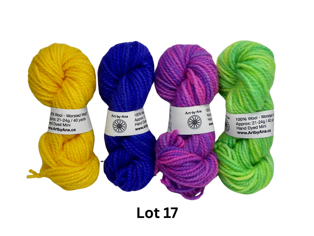 4 PACK - Hand Dyed Mini Skeins - 100% Wool - Lot 17