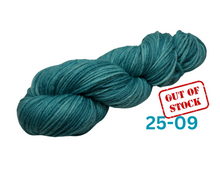 Load image into Gallery viewer, Hand Dyed DK WEIGHT MCN (Superwash Merino/Cashmere/Nylon) - **NEW COLOURS**
