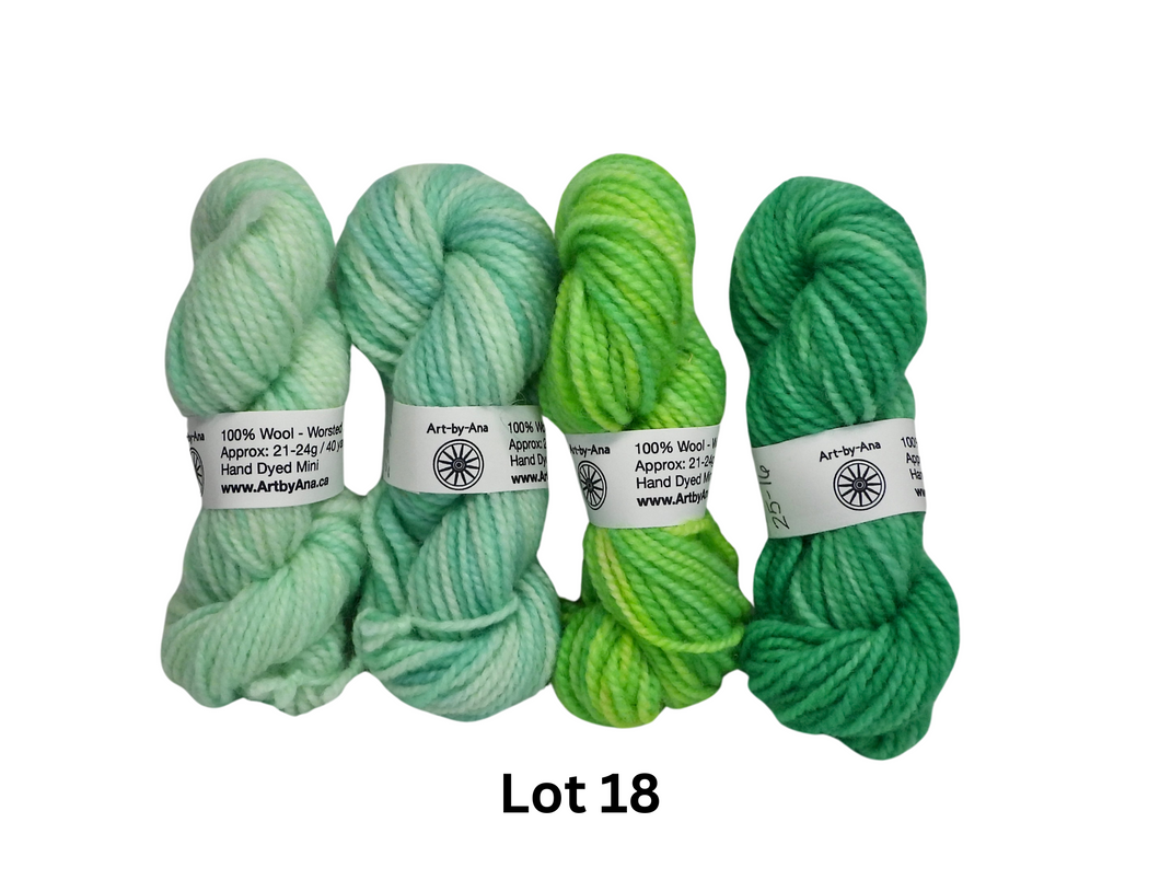 4 PACK - Hand Dyed Mini Skeins - 100% Wool - Lot 18