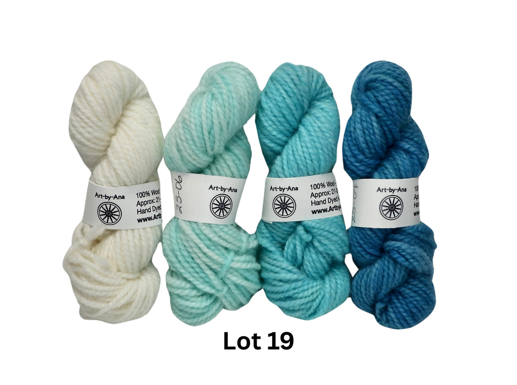 4 PACK - Hand Dyed Mini Skeins - 100% Wool - Lot 19