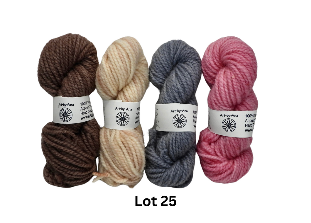 4 PACK - Hand Dyed Mini Skeins - 100% Wool - Lot 25