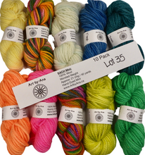 Load image into Gallery viewer, 10 PACK - Hand Dyed Mini Skeins - 100% Wool - Lot 35
