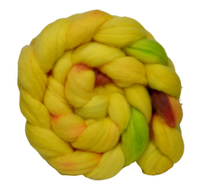 Load image into Gallery viewer, Hand Dyed SUPERWASH Merino &amp; Nylon Top / 105g / Braid for Spinning
