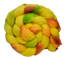Load image into Gallery viewer, Hand Dyed SUPERWASH Merino &amp; Nylon Top / 106g / Braid for Spinning
